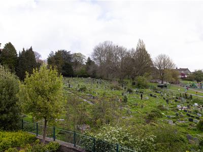 Picture 17